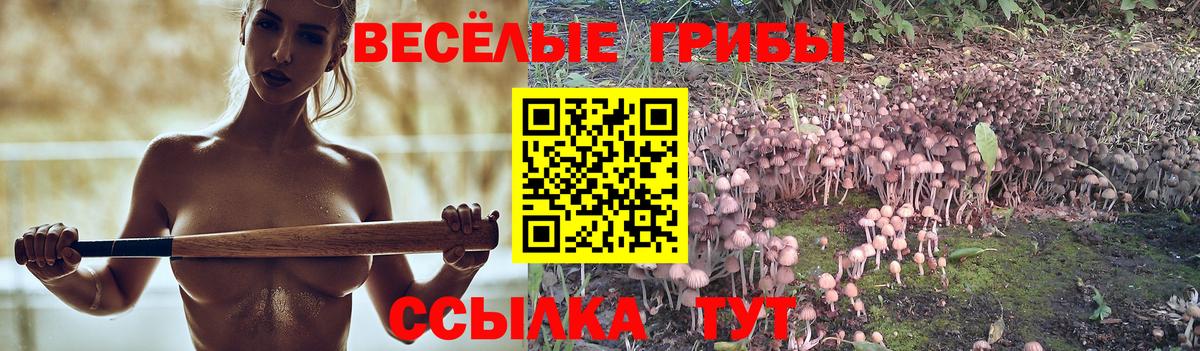 Псилоцибиновые грибы мицелий Чистополь